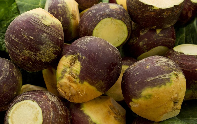 a closeup image of a pile of Rutabaga