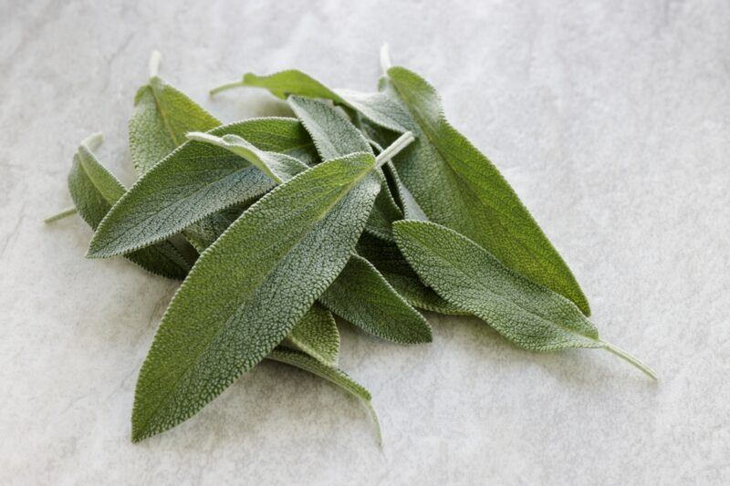 on a concrete surface is a pile of fresh sage leaves