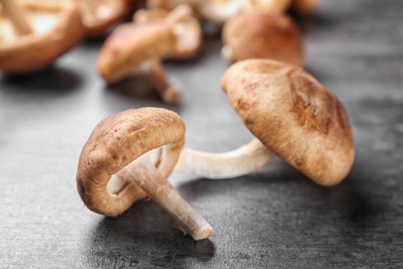 on a black surface are loose fresh shiitake mushrooms