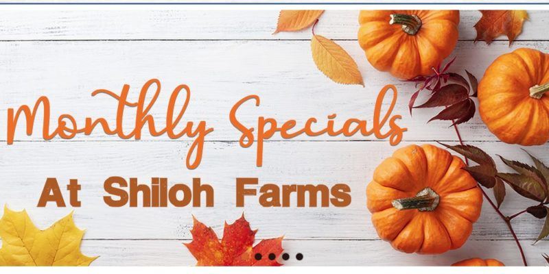 shiloh farms home page