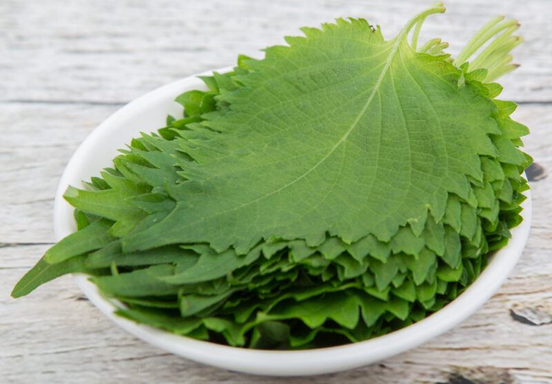 on a rustic looking white wooden surface is a white shallow bowl with a pile of shiso