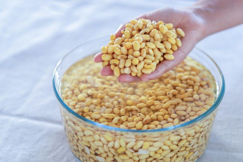 a hand holding a handful of soaked soybeans over a large glass round container with soaked soybeans