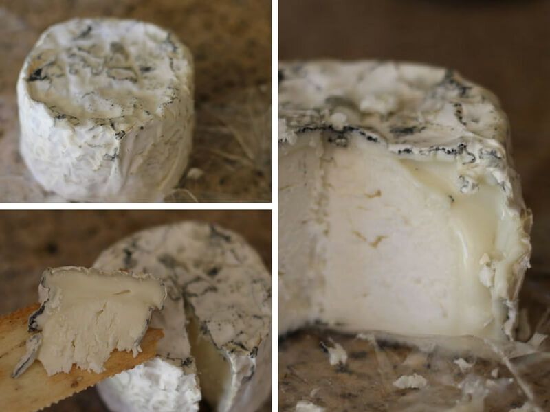 soft-ripened-goat-cow-milk-cheese