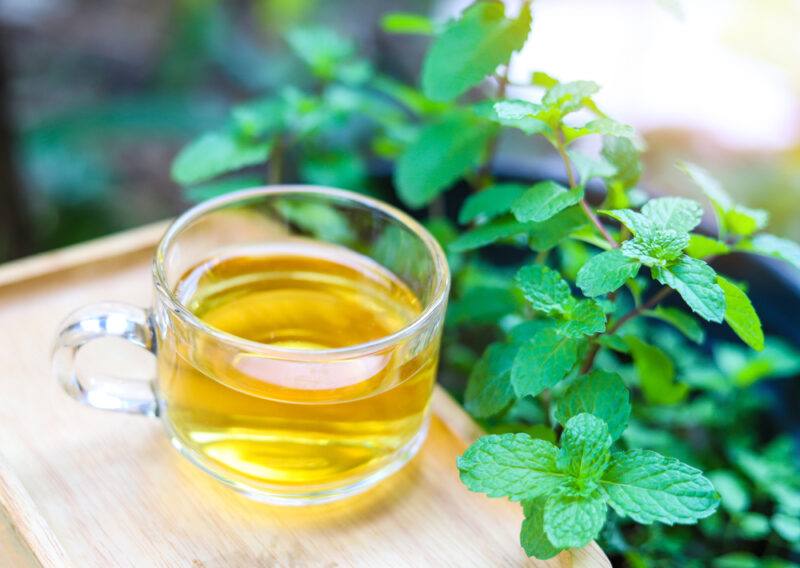 on a wooden tray is a clear glass cup of spearmint tea with fresh spearmint at the back