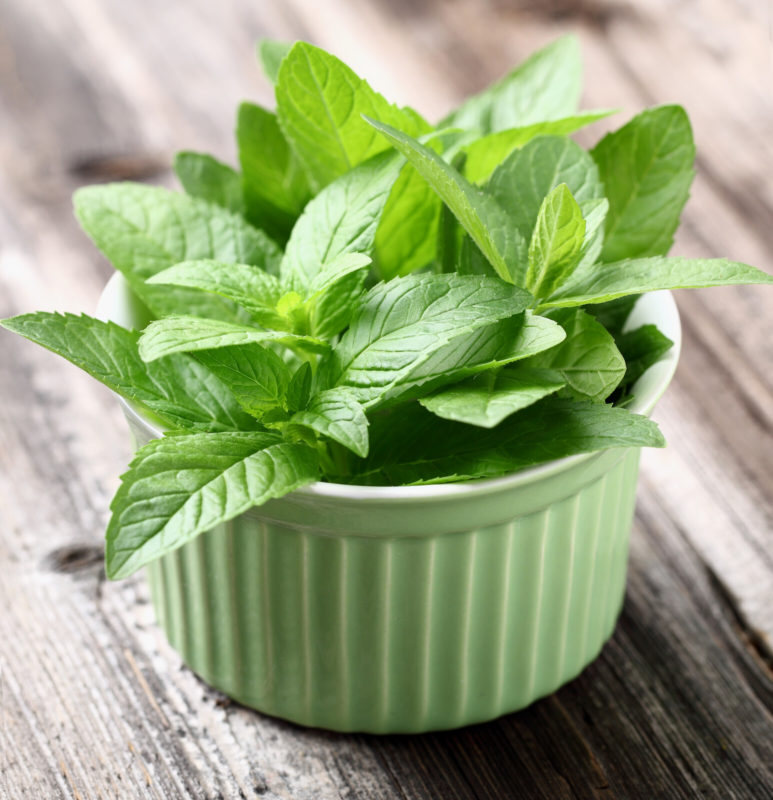 sprigs of peppermint placed on a mint green ceramic container.