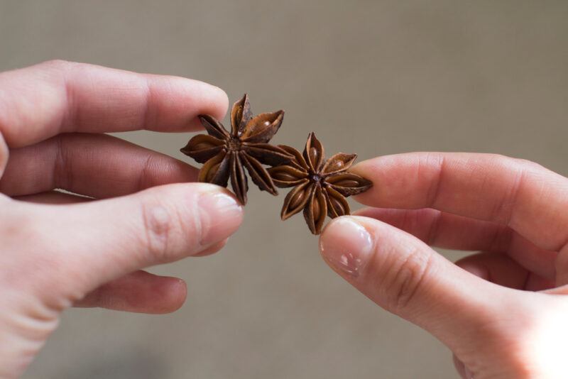 a couple of hands holding two pieces of star anise