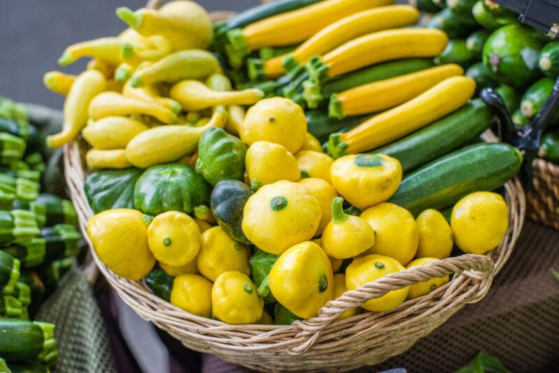 a huge weaved native basket full of different summer squash like , zucchinis, straightneck squash, crookneck squash