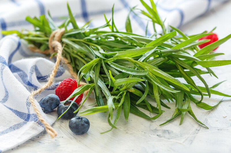 closeup image of fresh tarragon tied with a thin brown rope on a white and blue linen with blueberries and a couple of raspberries