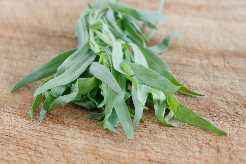 a closeup shot of  fresh tarragon on a wooden surface