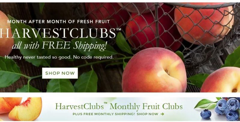 The Fruit Company home page showing peaches and leaves