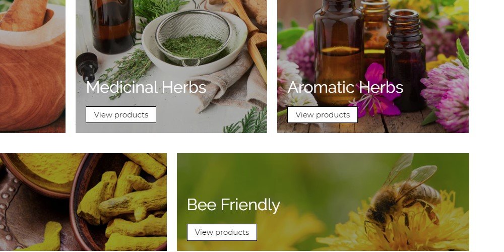 Buy Fresh Herbs Online From These 10 sites Food For Net