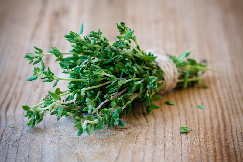 closeup image of a bundle of fresh thyme tied with jute string