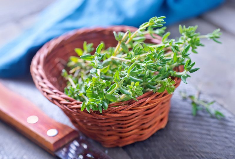 a brown weaved basket with fresh thyme leaves resting on a wooden surface with a knife with brown handle beside it and a blue table napkin at the back