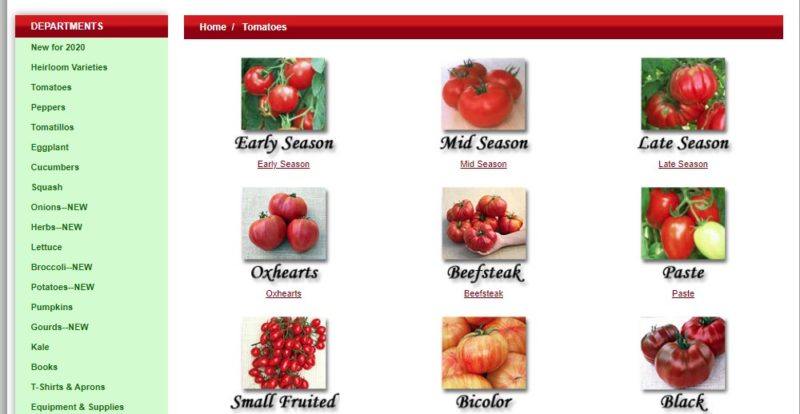 tomato growers tomato variety page