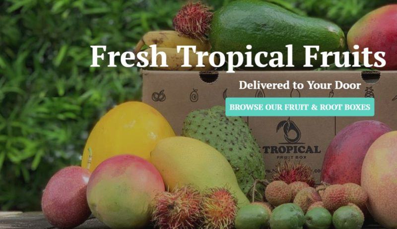 tropical fruit box home page