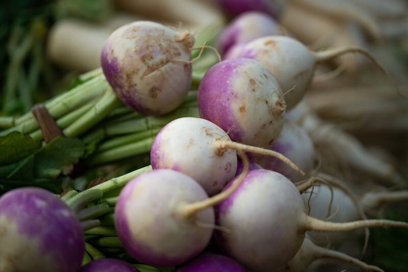 closeup image of a bunch of turnips with the leaves still attached