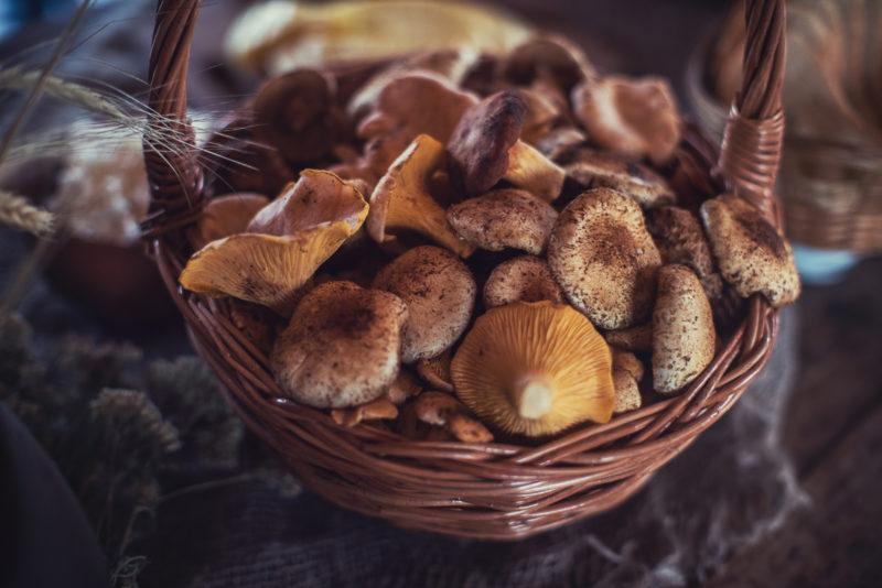 a basket filled with different types of mushrooms