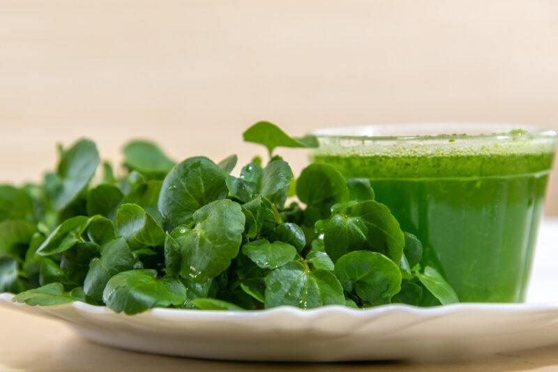 on a white plate are fresh watercress with a small glass of watercress juice