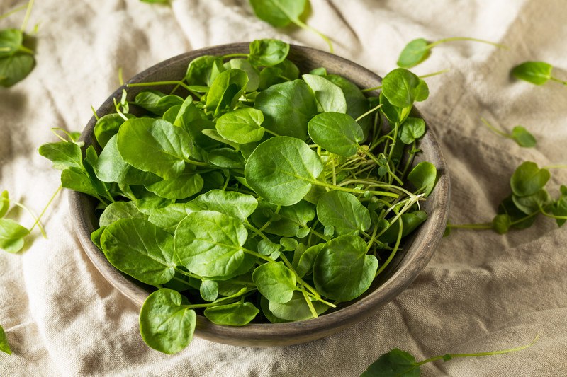 a closeup image of a brown wooden bowl full of Watercress resting on a brown cloth with loose watercress around it