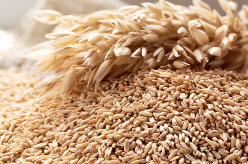 a pile of whole grains and stalks of wheat on top