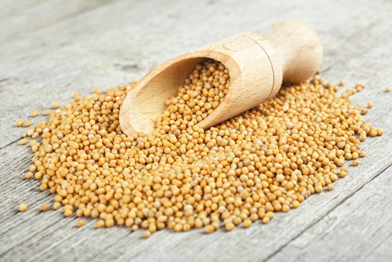 on an aged white wooden surface is a mound of yellow mustard seeds with a wooden scoop on top with mustard seeds as well